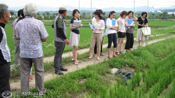 친환경 급식 점검단이 유기농법으로 재배되는 벼논을 둘러보고 있다.