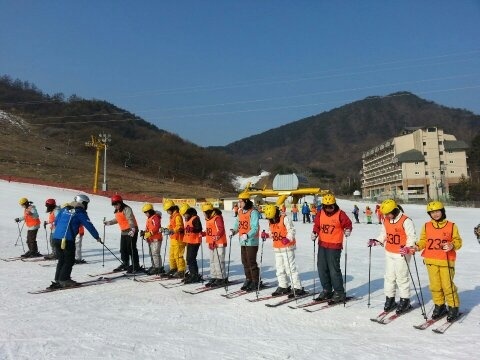 연풍초 학생들이 신나는 스키 교실에 참가해 스키 기본기를 배우고 있다.